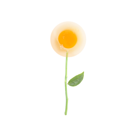 flower with egg yolkの写真素材