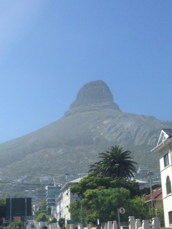 Lion Head Capetownの素材
