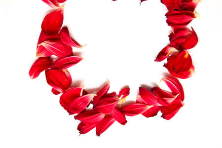 a frame of red petals with space for textの写真素材