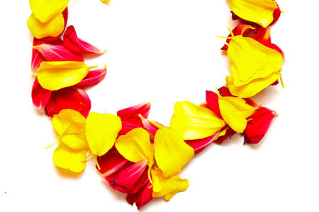 a frame of red and yellow petals with space for textの写真素材