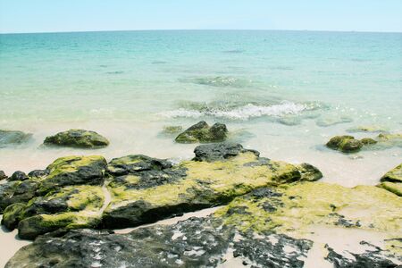 Yellow green algae, Cambodian Icelandの写真素材