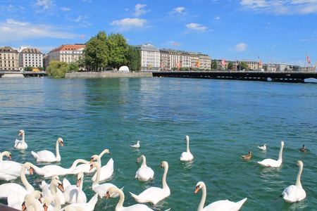Geneva and Lake, Switzerlandの写真素材