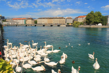 Geneva and Lake, Switzerlandの写真素材