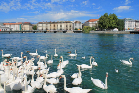 Geneva and Lake, Switzerlandのeditorial素材