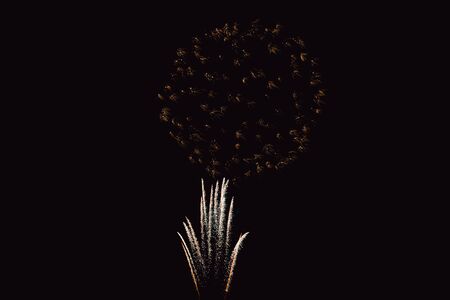 Colorful firework on the night sky. New Year celebration fireworks. Abstract firework isolated on black background with free space for textの写真素材