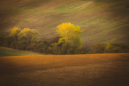 Autumn picturesque rolling countryside of South Moravian fields and vineyards, called Moravian Tuscany, Czech Republicの写真素材