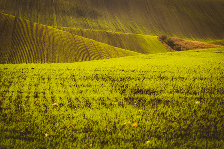 Autumn picturesque rolling countryside of South Moravian fields and vineyards, called Moravian Tuscany, Czech Republicの写真素材