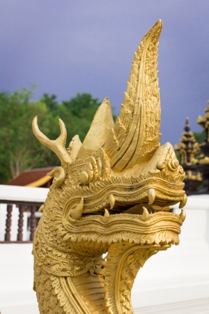  King of Nagas の写真素材