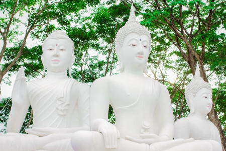 Buddha at PhraTad Sangamphang Templeの写真素材