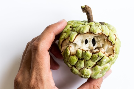 Custard appleの写真素材