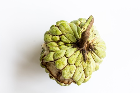 Custard appleの写真素材