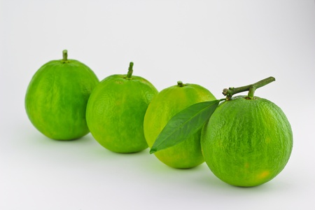 Oranges which were got from the market in Bangkok, Thailandの写真素材