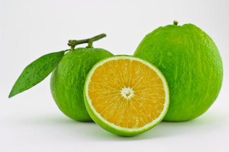 Oranges which were got from the market in Bangkok, Thailandの写真素材