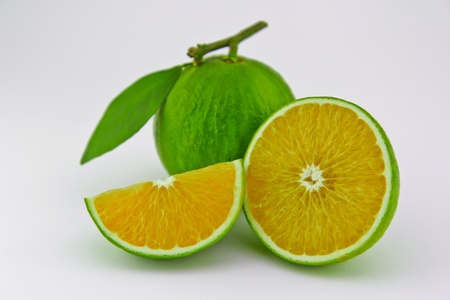 Oranges which were got from the market in Bangkok, Thailandの写真素材