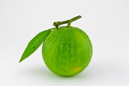 Orange which was got from the market in Bangkok, Thailandの写真素材