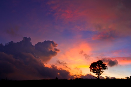 The night scene at Kaoyai national park in Nakhon Ratchasima, Thailandの写真素材