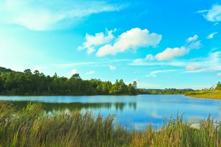 country green water in thailandの写真素材