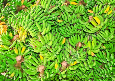 Bananasの写真素材