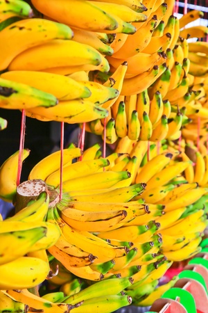 Bananasの写真素材