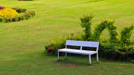 Green dragonの写真素材