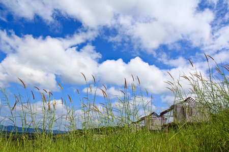 Fieldの写真素材