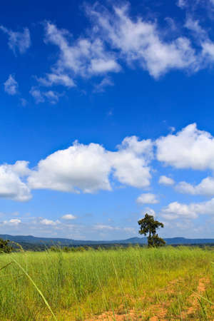 Fieldの写真素材