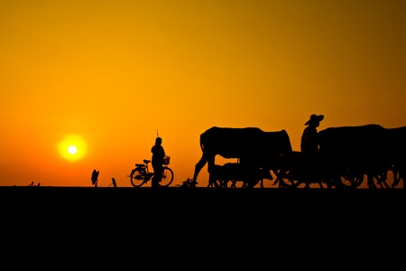 sunset countryside thailand