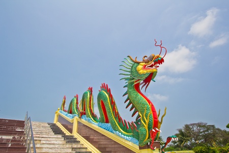 dragonの写真素材