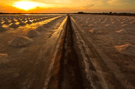 sunset at salt pan の写真素材