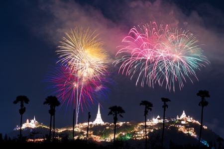 Beautiful flowersの写真素材