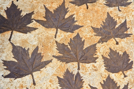 background Groundの写真素材