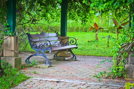 Chair in the garden の写真素材