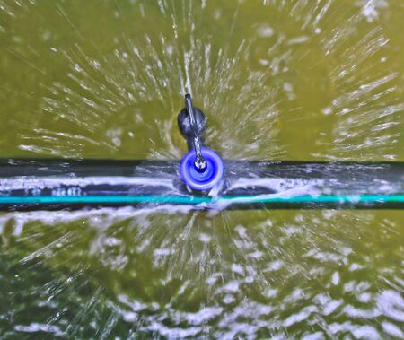 sprinkler In the gardenの写真素材
