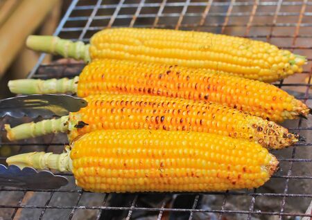Grilled corn 
