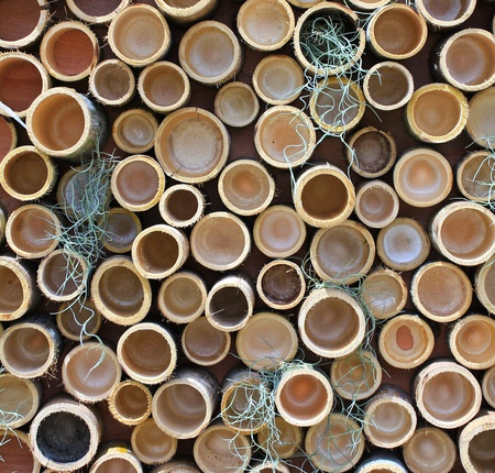 wood texture with natural patterns background の写真素材