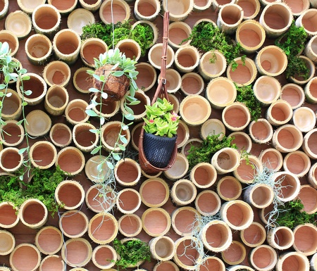 wood texture with natural patterns background の写真素材