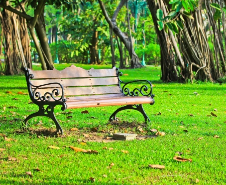 relax chair in Park Chair の写真素材