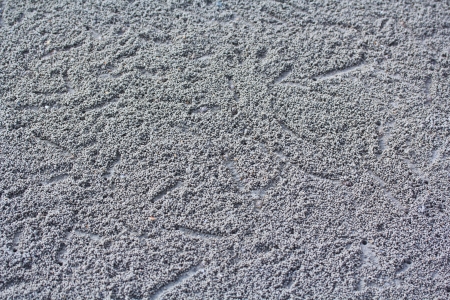 Crab making sand balls on the beach の写真素材