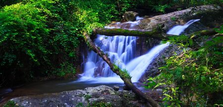 waterfall in the Forest National park thailand の写真素材