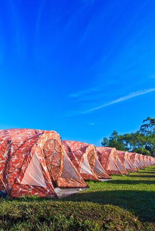 Campsite on phu kradung, Loei Province Thailand の写真素材