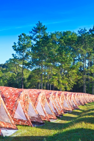 Campsite on phu kradung, Loei Province Thailand の写真素材