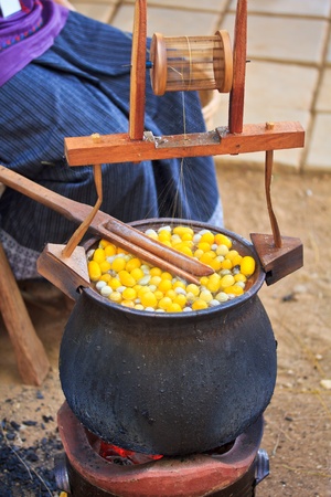 Boiling cocoon in a pot to prepare a cocoon silk の写真素材