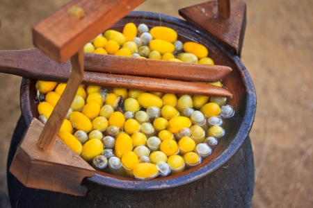 Boiling cocoon in a pot to prepare a cocoon silk の写真素材
