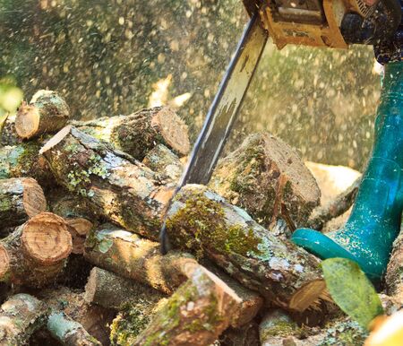 man cutting firewood for home with a chainsaw