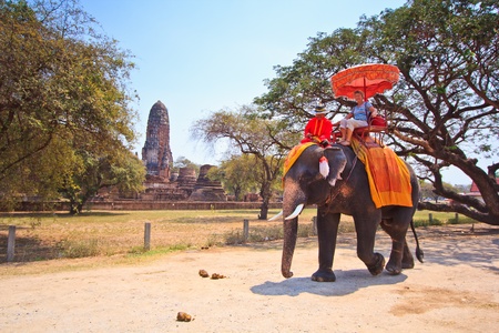 AYUTTHAYA, THAILAND - MARCH 7  Tourists on an elephant ride tour of the ancient city on March 7, 2013 in Ayutthaya  のeditorial素材
