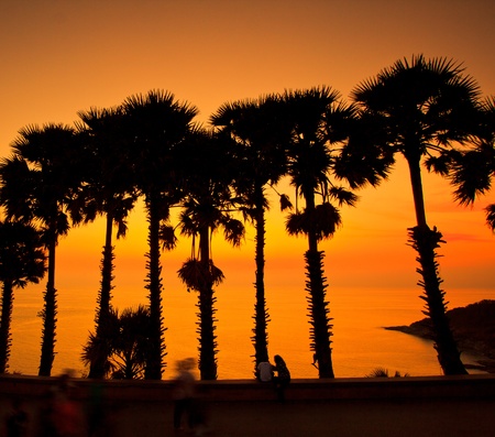 sunset at sea sugar palm Phuket Thailand の写真素材