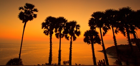 sunset at sea sugar palm Phuket Thailand の写真素材