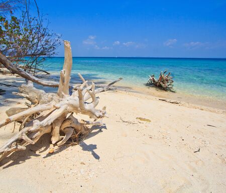 Sea landscape and wood in Thailand 