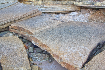 75 million years old Fossil Shell of Thailand の写真素材