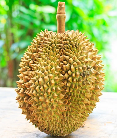 Durian Tropical fruits asia thailand 